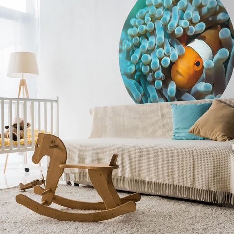 Wallpaper Circle - Anemonefish