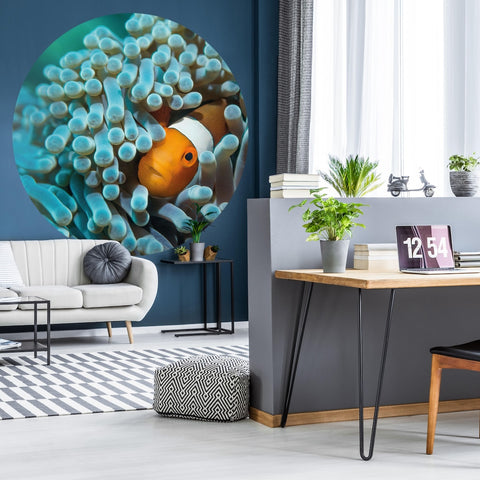 Wallpaper Circle - Anemonefish