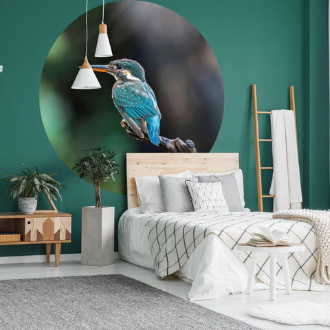 Wallpaper Circle - The Kingfisher