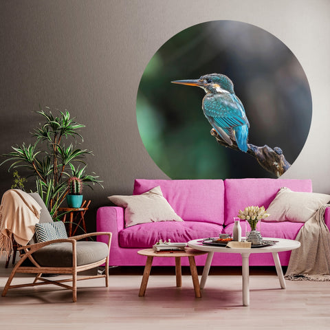 Wallpaper Circle - The Kingfisher