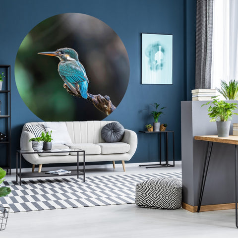Wallpaper Circle - The Kingfisher
