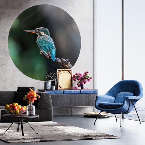 Wallpaper Circle - The Kingfisher